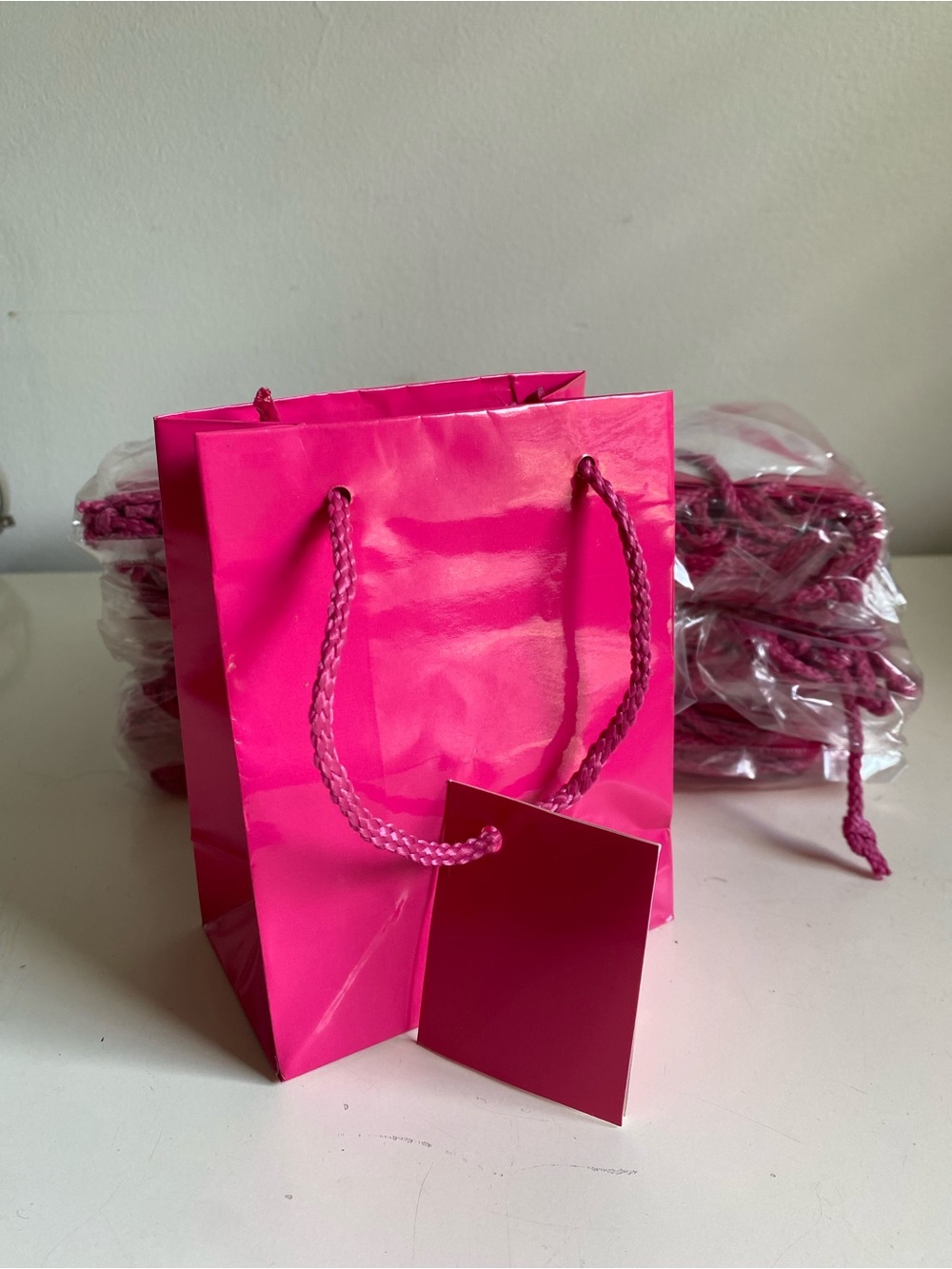 Fuchia Pink Glossy Gift Bag with Rope Handles 72 bags NEW Small 5.5” x 4 1/4”